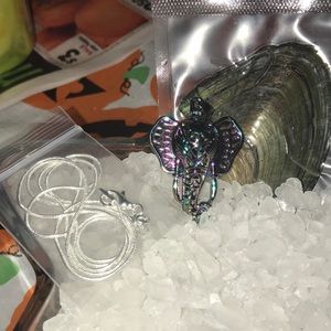 Rainbow elephant cage with chain and oyster